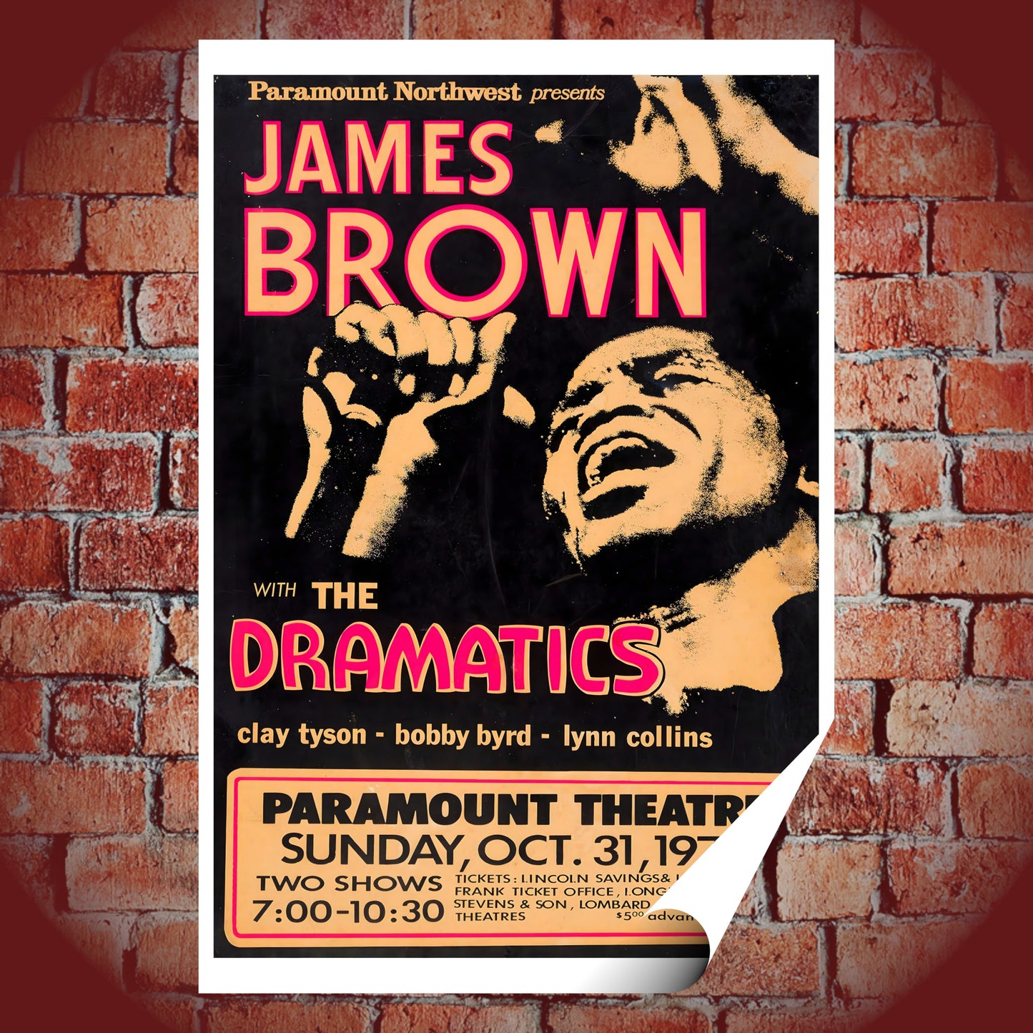 James Brown Live at Paramount Theatre Vintage Concert Poster Print – 16x24