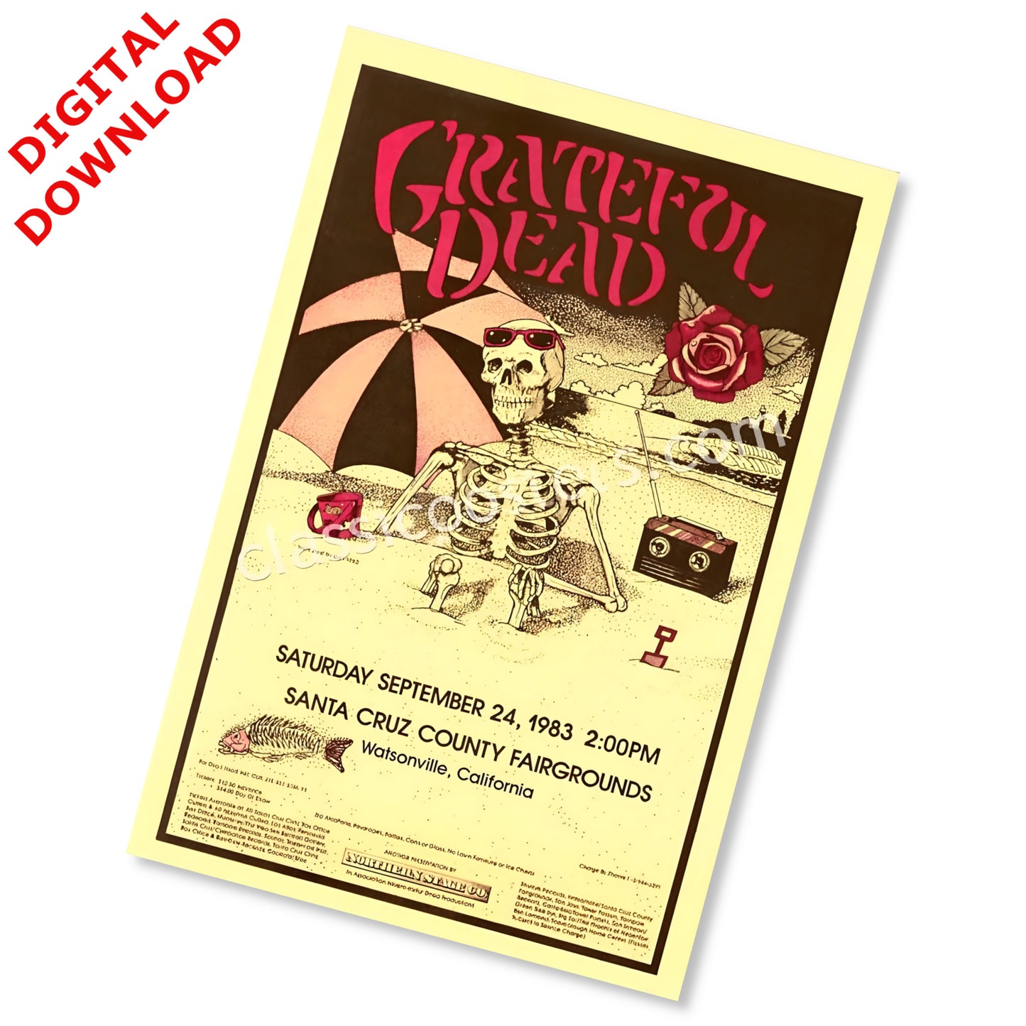 Grateful Dead 1983 Santa Cruz California Vintage Concert Poster - Instant Digital Download
